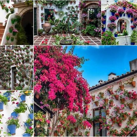 Apartamento Centrico En El Casco Historico De Córdoba Exteriér fotografie