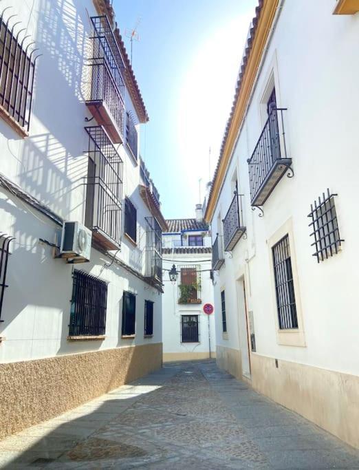 Apartamento Centrico En El Casco Historico De Córdoba Exteriér fotografie