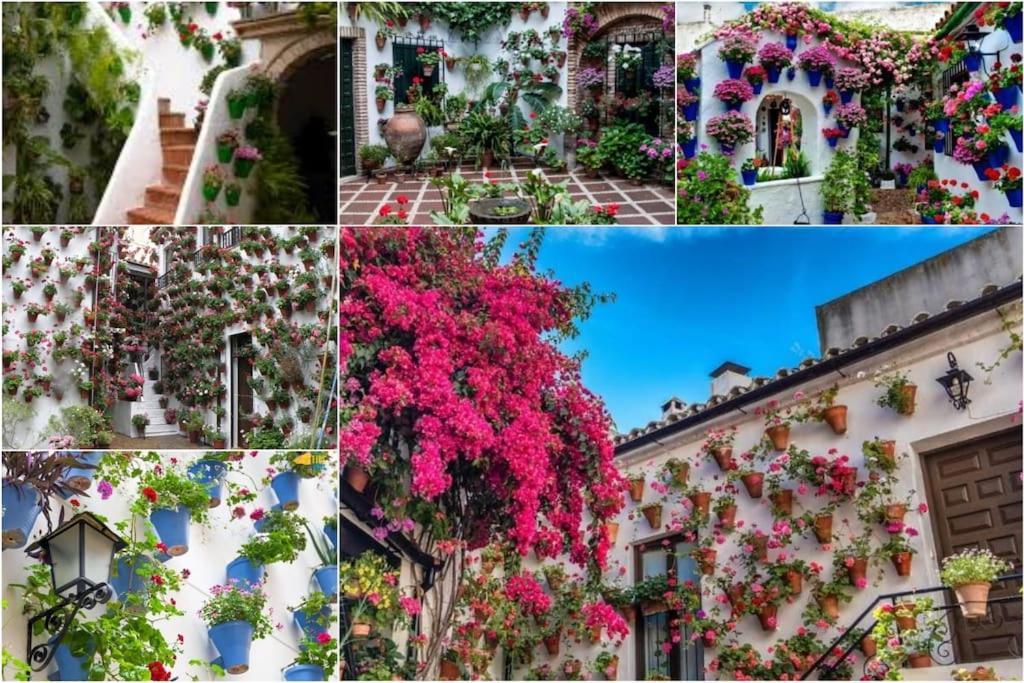 Apartamento Centrico En El Casco Historico De Córdoba Exteriér fotografie